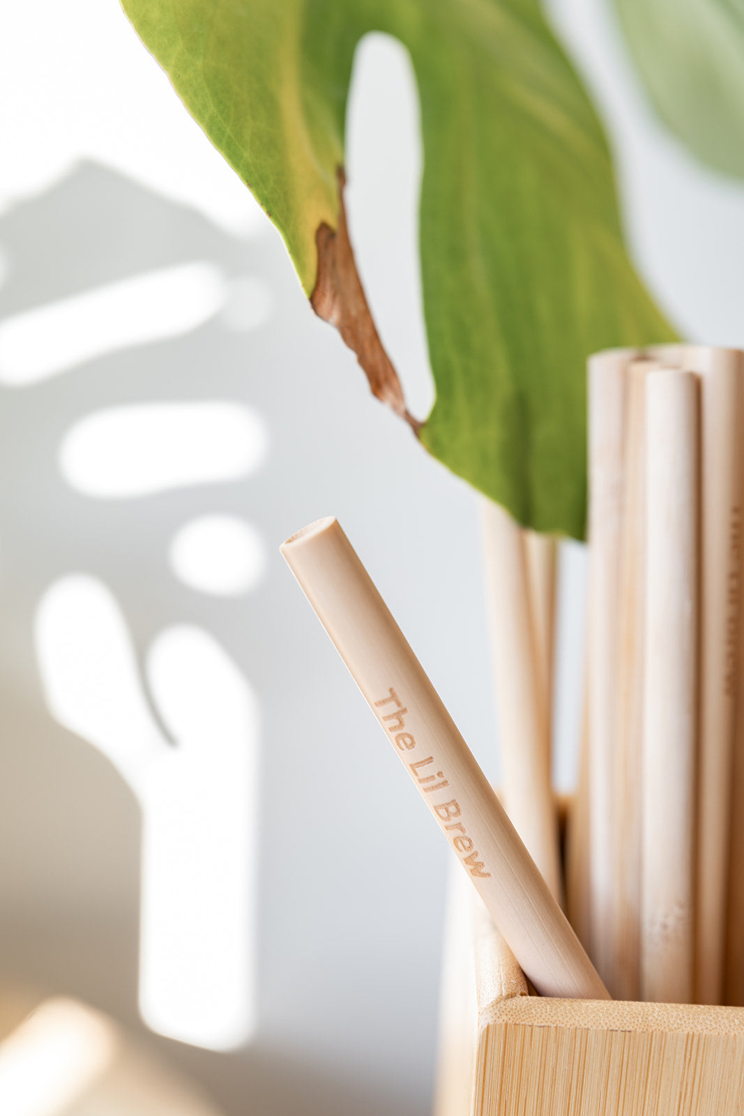 Bamboo Straws