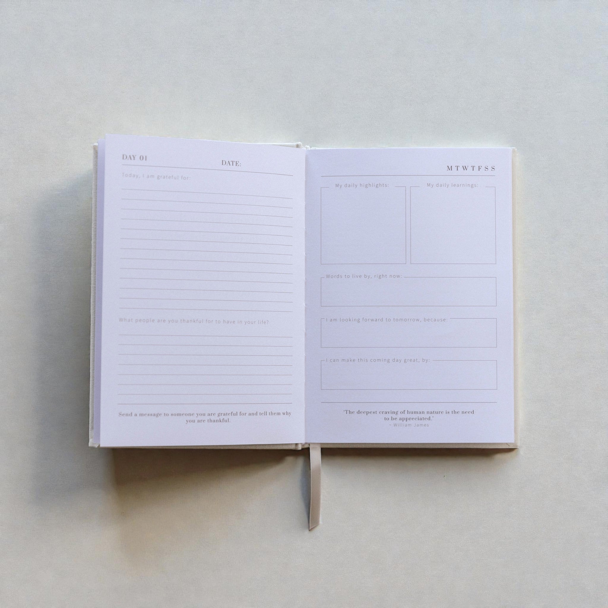 Olive + Page 100 Days of Gratitude Journal